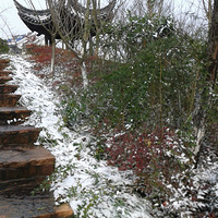 ��һ��ѩ�µ�̫С���˰�