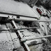 2016�ĵ�һ��ѩ����Ҷ��ڴ��Ĵ�ѩ��ѩ����