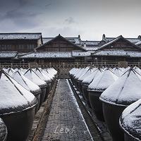 ��������ѩ��