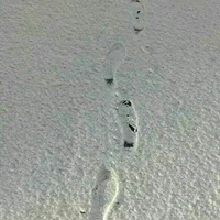 ���˶�ʮ���꣬��һ�ο����������Σ�������