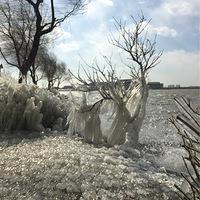 ����ҵ�������ѩ��