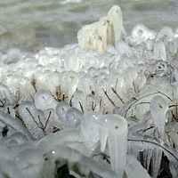 �²�����