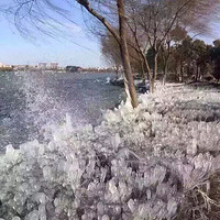 ������ҵ�����������磡