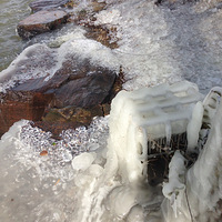 ������ҵ�����������磡