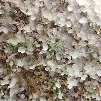 ������ҵ�����������磡