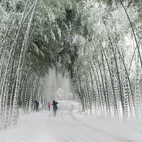 ����16��C��ѩ�гಲ�������񺣣�