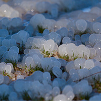 ���ò�Ҫ��Ҫ�ģ�Ҳ�����Ҳ�Ҫ��Ҫ�ġ�����