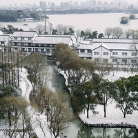 ��������ѩ �����ν���