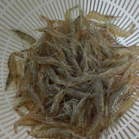 �������ԼҲˡ�----ѩ�˰�ˮϺ