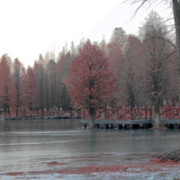 ��.��.��ϼ