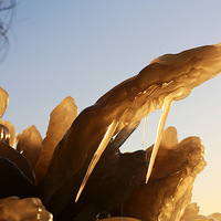 NN�����Կ������Ϻ�����ҵ�����