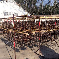 ����Ĺ���