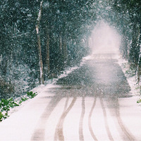 ��ѩ����