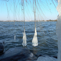 ����Ϯ���ϣ���Ө������--������Ȼ����~~