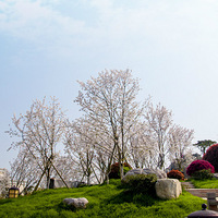 ��������Ѱ���㣬����һ��̤���ȥ����