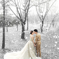 ����ѩ�׷ɵĻ�ɴ�գ������������������������Ӱ