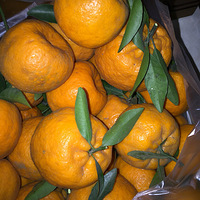 �ո̣����������ִ󣬲�������Ŷ������Ҫ��