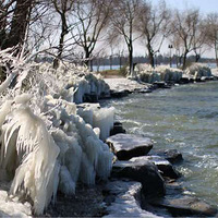 ��ҵ�����