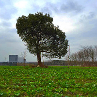 �ϵó���������̧����ȥ����Ŀ������ȴҲ