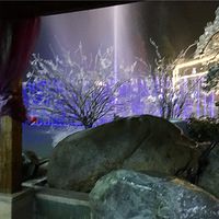 ����һҹ��������ǧ�������滨��