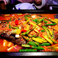 ��¯�㡿�ԳԳԳ�~