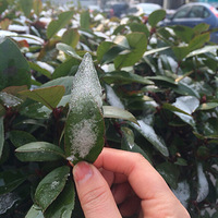 �Ϸ����죬���һ���Ȼ���������