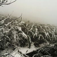 ����ô��û������ô���ѩ