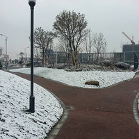 2016��ĵڶ���ѩ