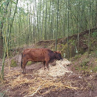 �����й�