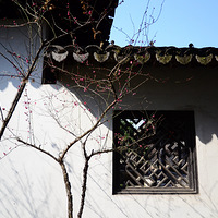   ��  ӭ������������  ��