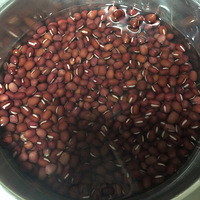 �춹ɳ�����������