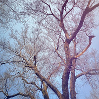 ���������Ͻ�--����