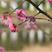 �����޴����ڣ����ϵ�����������