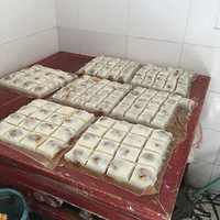 С��è����ʳ֮�á������й��򣺲��