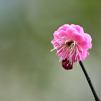 ���ͻ�ʱ��