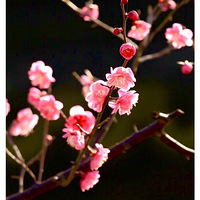 ��Ӱ��б�����㸡������