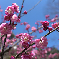 һ�������㣬����...������÷��ȥ��...