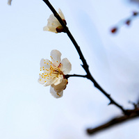 ÷��Ц���Կຮ------����÷���