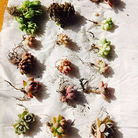 ������Ҫһ���С��������ʻ��ͺ���