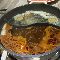 �������ԳԻ�����������