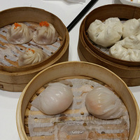 ��������Ƶ꡻�����