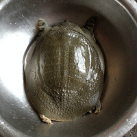 ��ϲ���Լ������