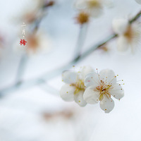 ���µ�÷��