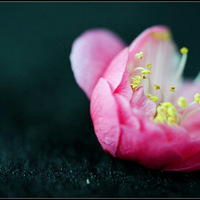 ���� �����ˡ�