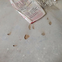 ̫ʧ���˼�ֱ��