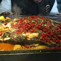 ̼��+2��7.8��+2��NO.6