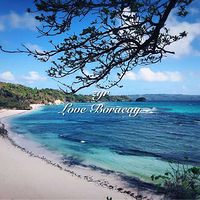 ���շ緫�ĳ�̲