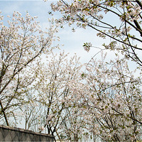 �˴�ӣ������