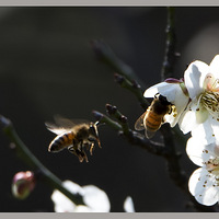 �з�����