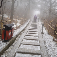 2016������